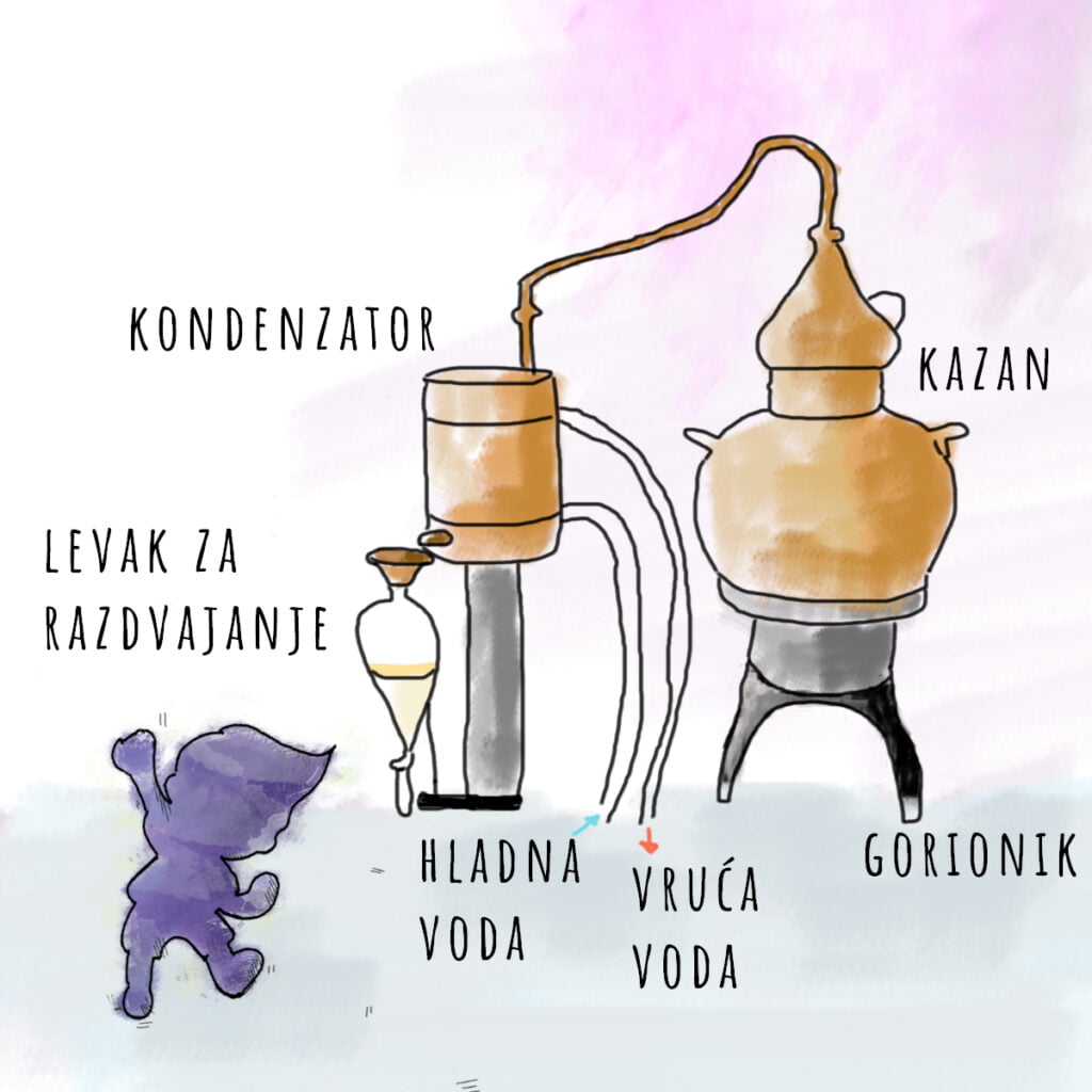 Lavandino ulje. Sve što treba da znate! 5 lavandino-ulje-destilacija